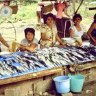 Philippinen (1984), Davao Fisch