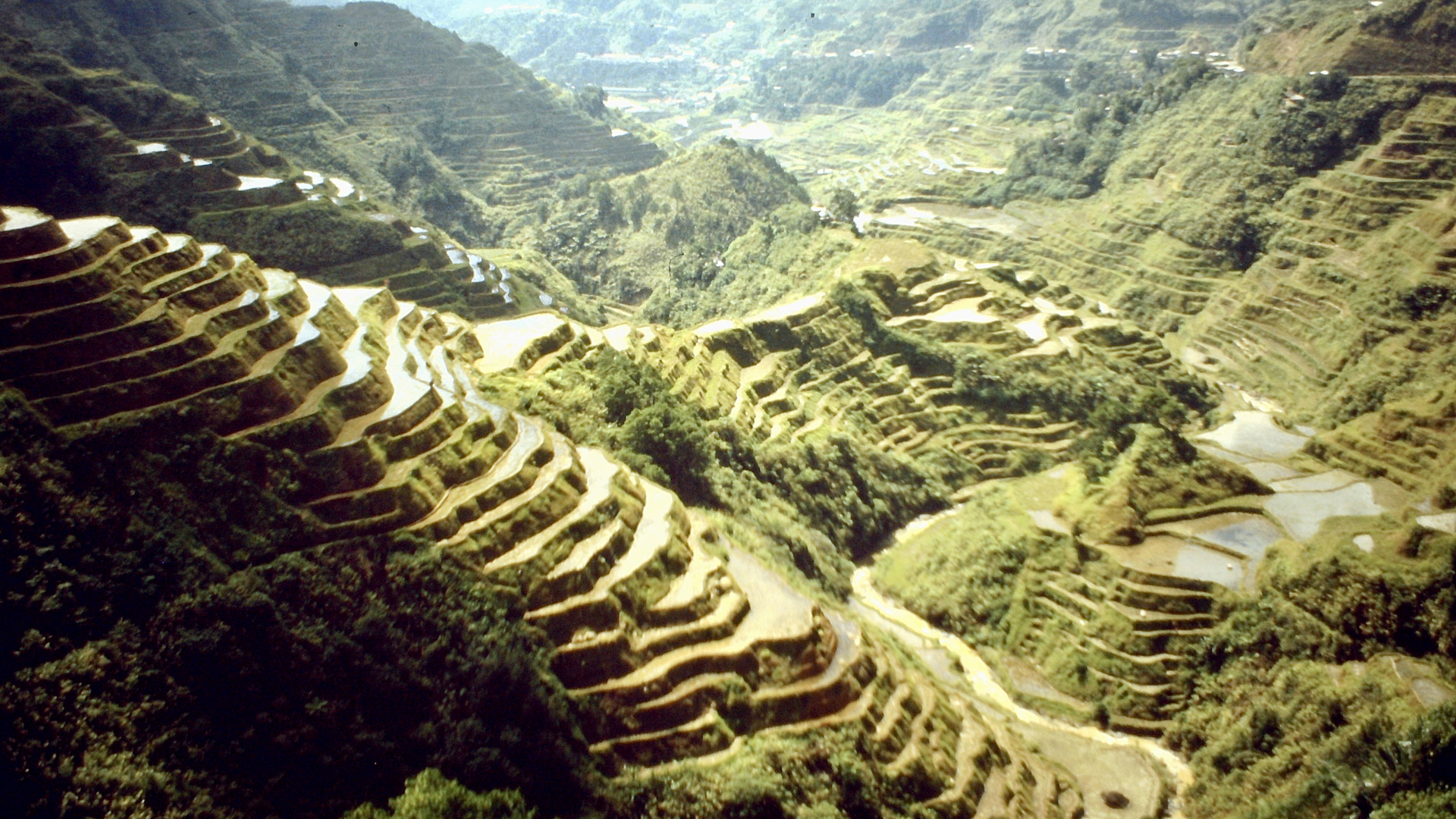 Philippinen (1984), Luzon, Banaue