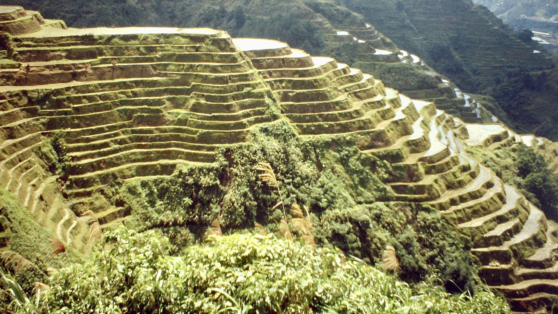 Philippinen (1984), Luzon, Banaue