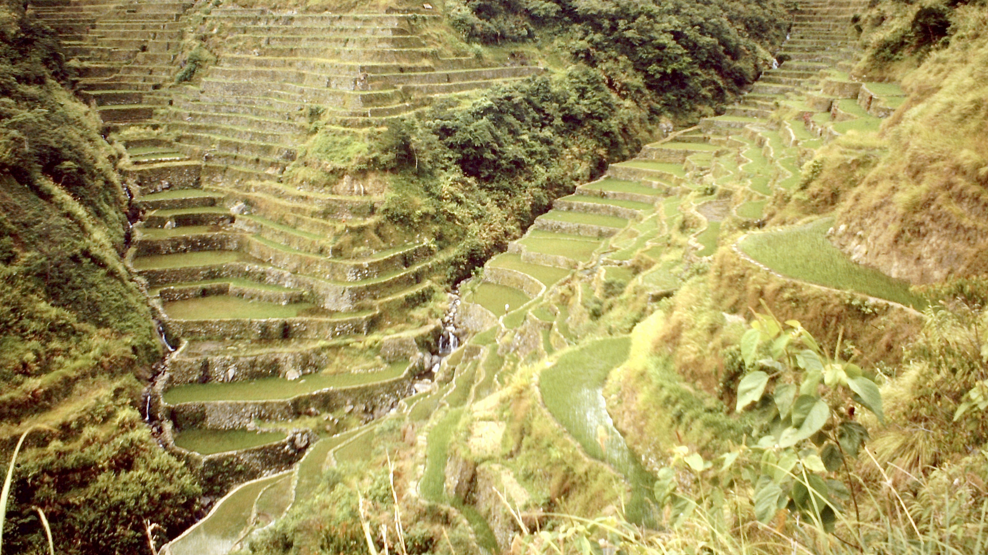 Philippinen (1984), Luzon, Banaue