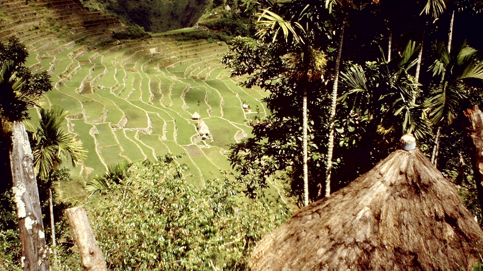 Philippinen (1984), Luzon, Batad