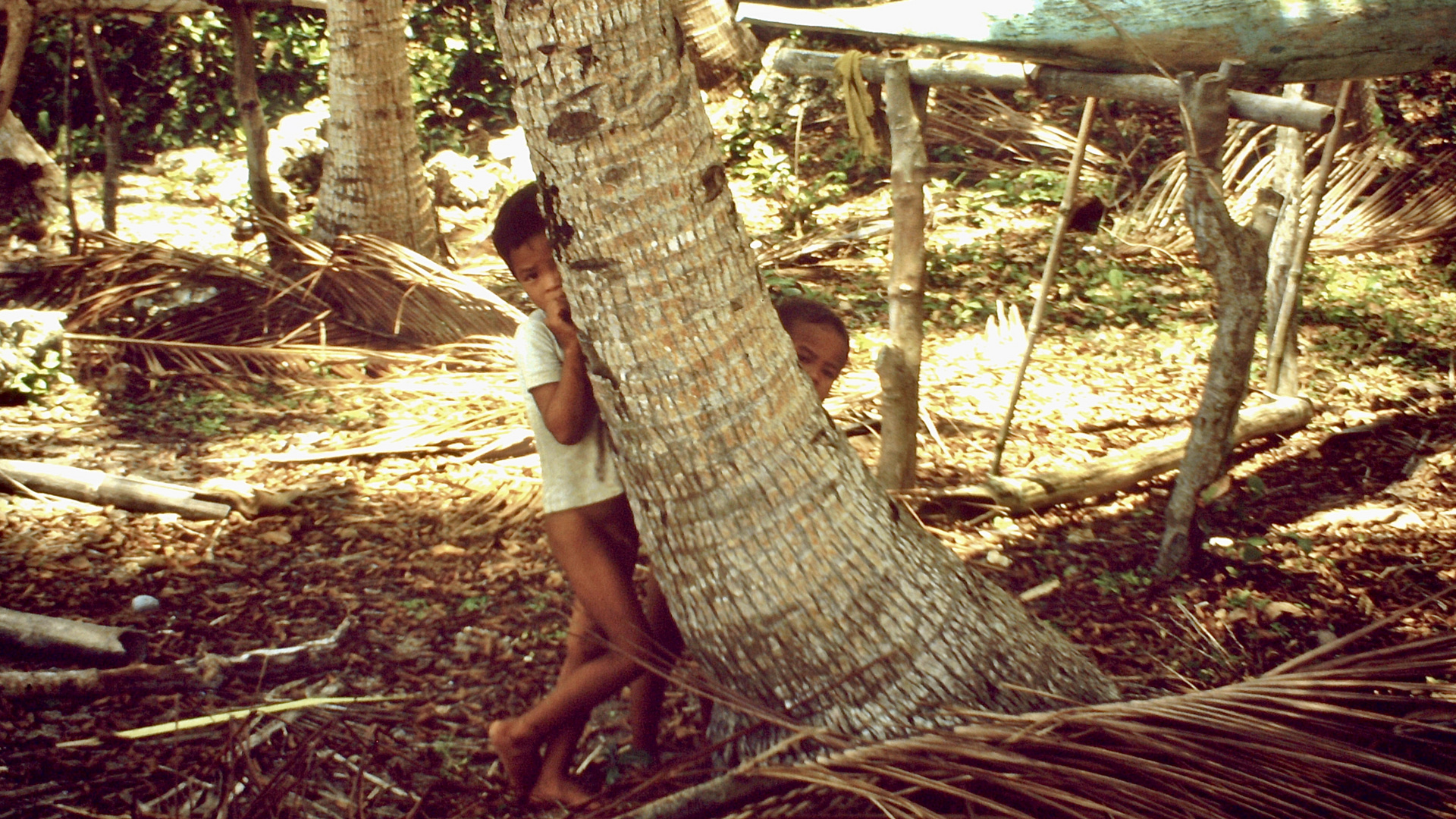 Philippinen (1984), Panglao Island