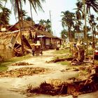 Philippinen (1984), Taifun Ike auf Cebu II