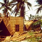Philippinen (1984), Taifun Ike auf Cebu III