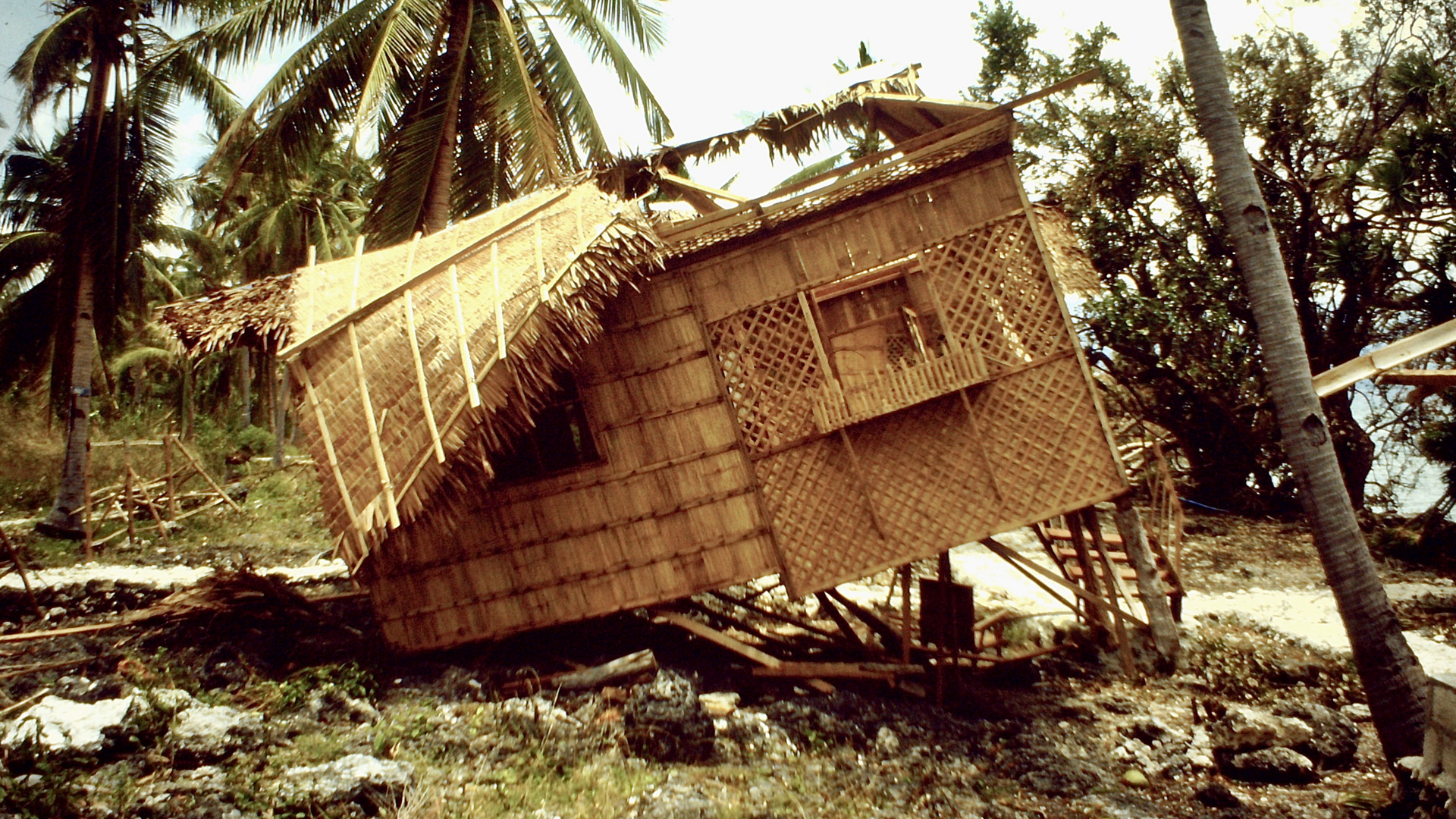 Philippinen (1984), Taifun Ike auf Cebu IV