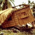 Philippinen (1984), Taifun Ike auf Cebu IV