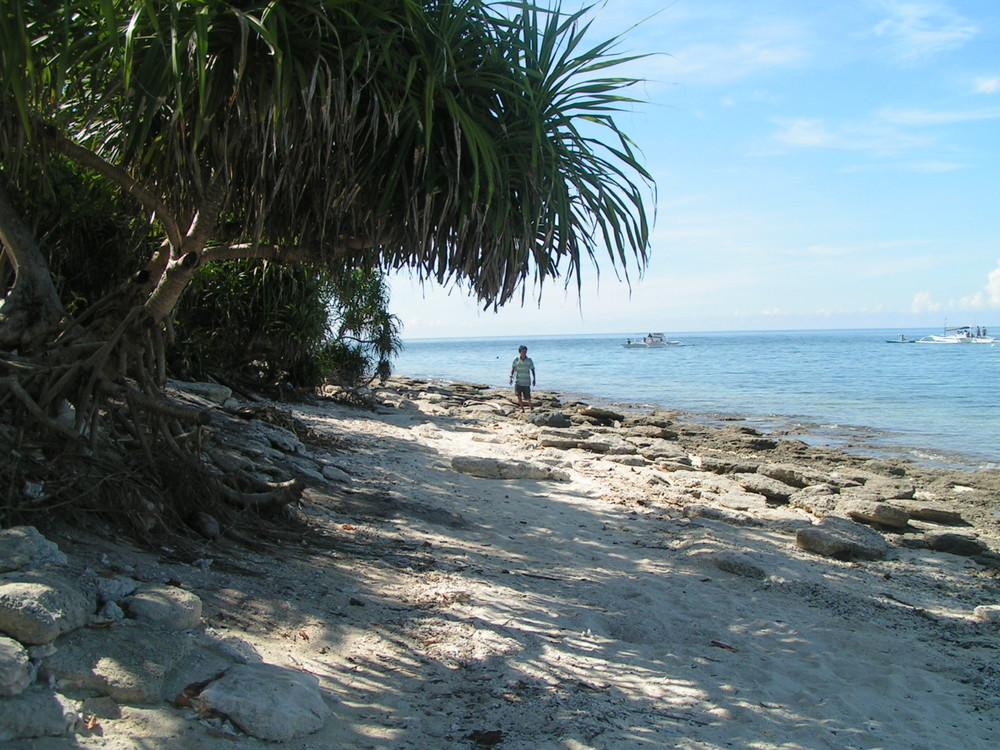 Philippines, Bohol, Panglao, Balicasag Marine Sanctuary