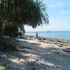 Philippines, Bohol, Panglao, Balicasag Marine Sanctuary