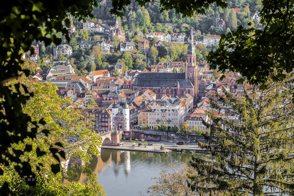 Philosophenweg-Durchblick