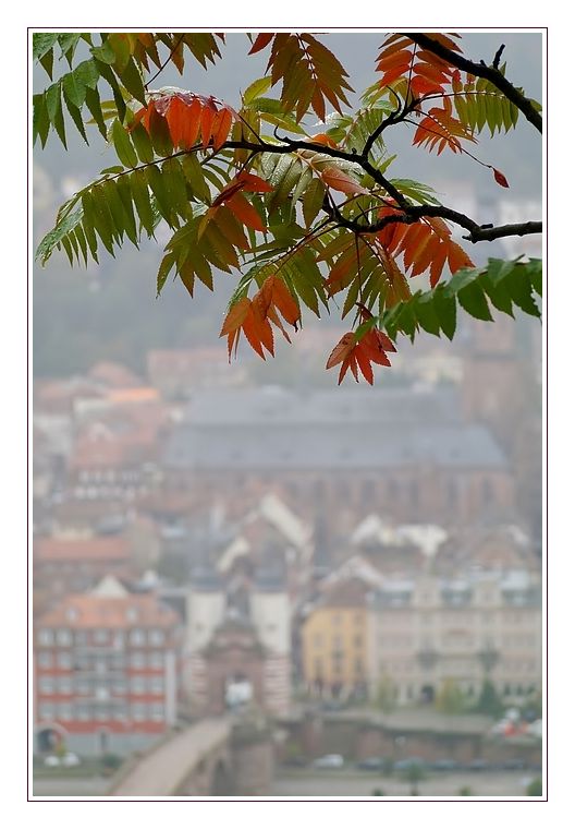 Philosophenweg im Herbst