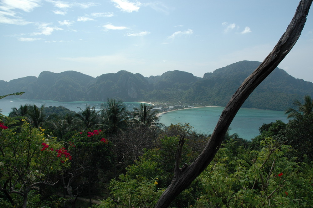 Phiphi island