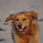 User Profile Photo