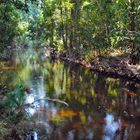 Phnom Kulen Linga River