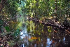 Phnom Kulen Linga River