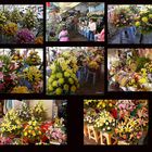 Phnom Penh - Blumenmarkt