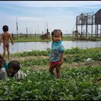 Phnom Penh Kids