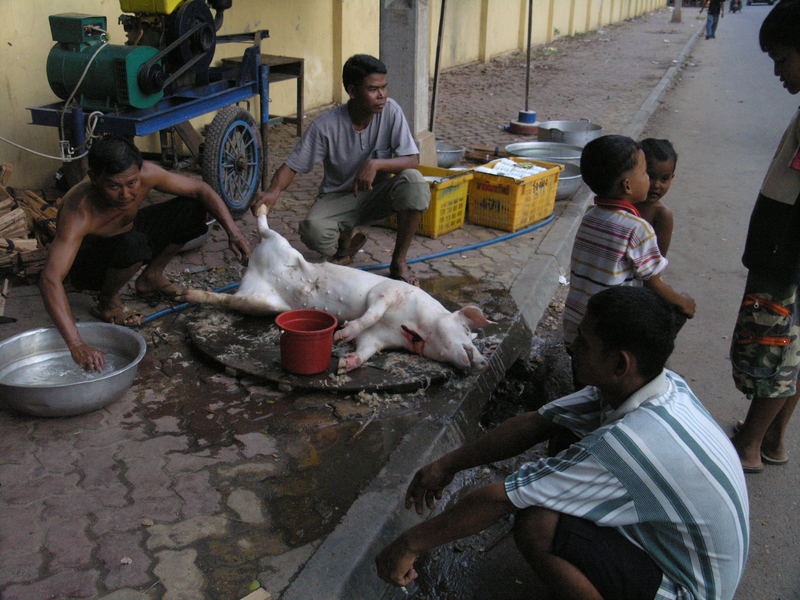 Phnom Penh - Schlachtung