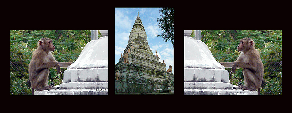 Phnom Penh - Silberpagode - auch der Wohnort der wild lebenden Affen