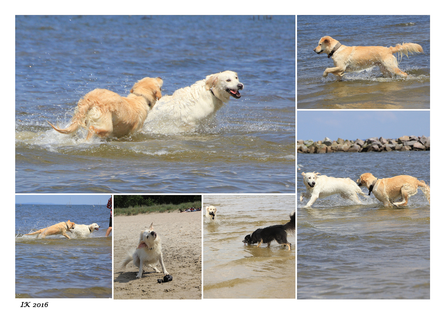 Phoebe am Strand