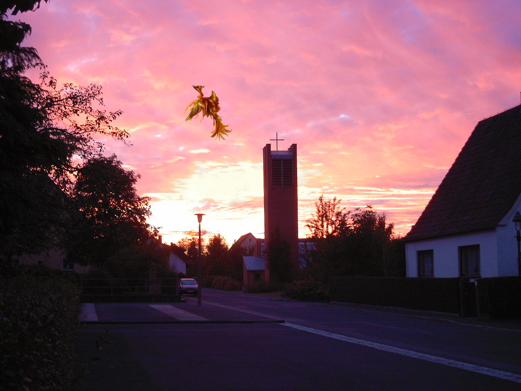 PHÖNIX im Sonnenuntergang