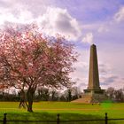 Phoenix park Dublin