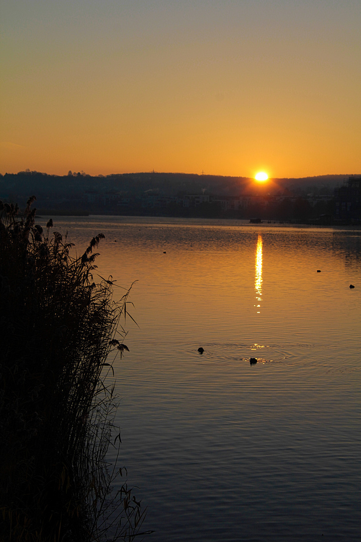 Phoenixsee am Morgen