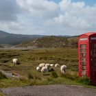 PhoneBox