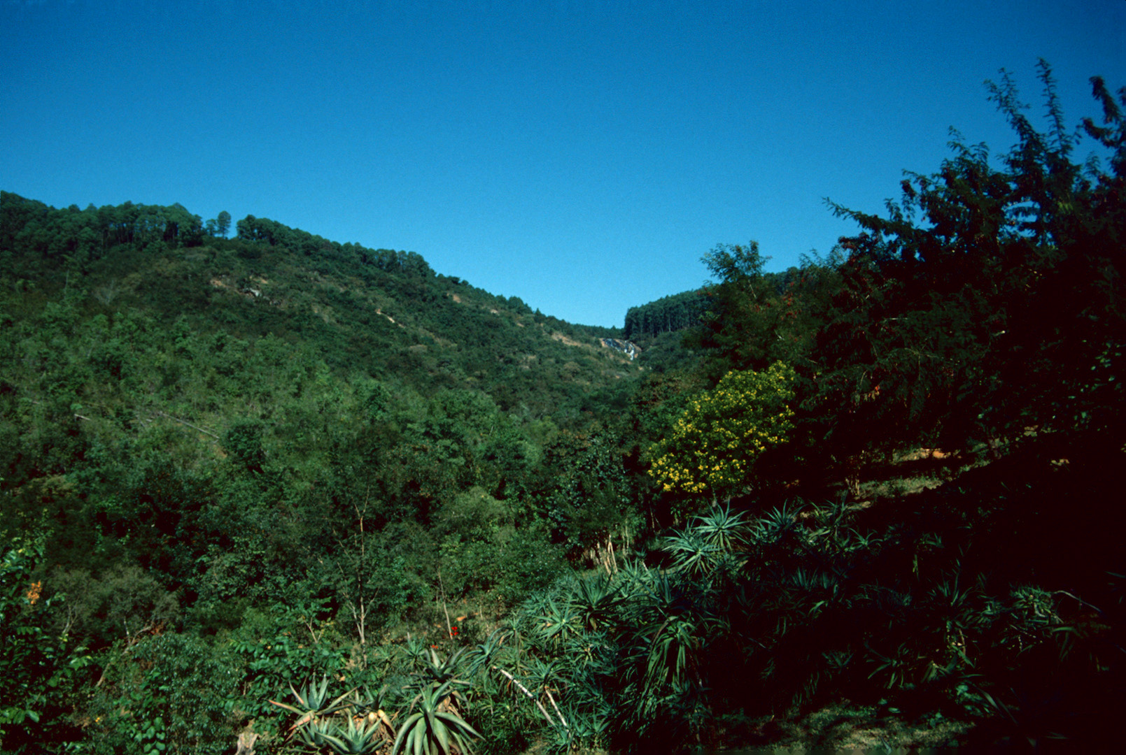 Phophonyane Falls, Swaziland - 1991