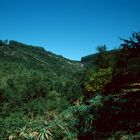 Phophonyane Falls, Swaziland - 1991