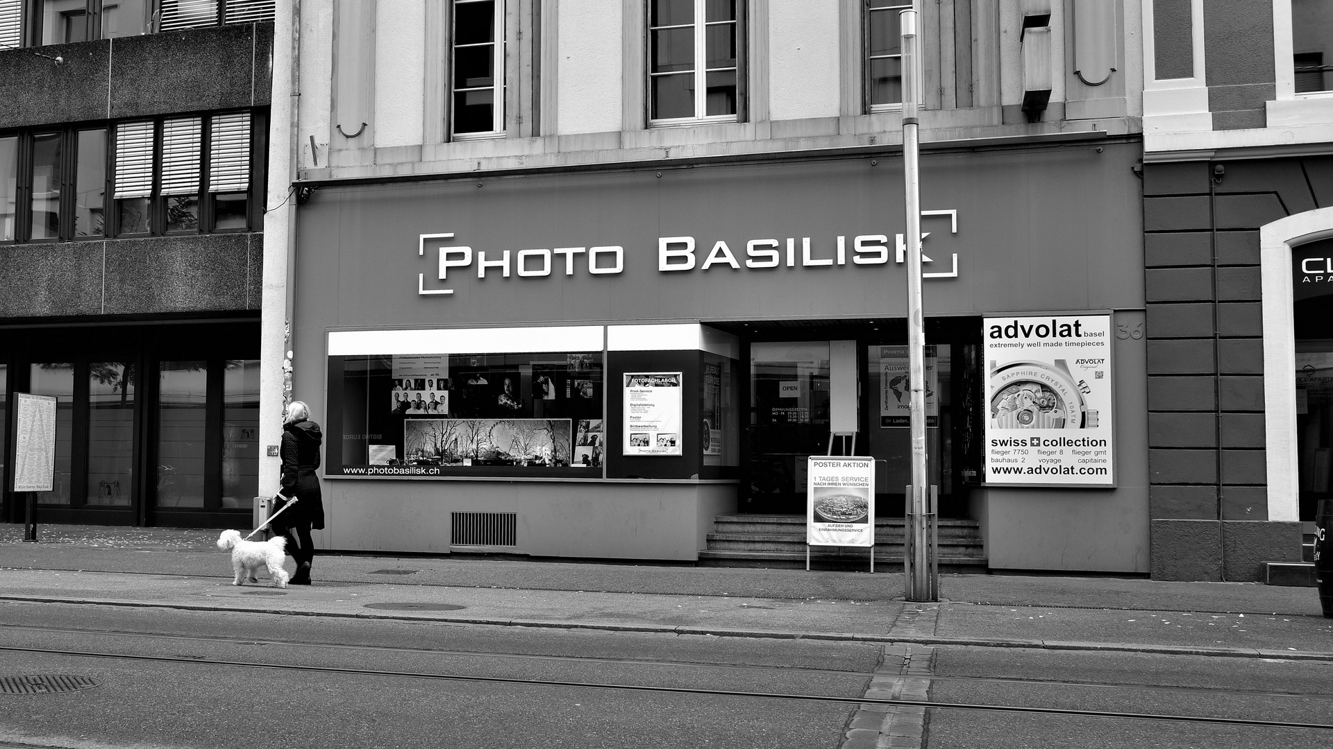 Photo Basilisk