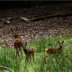 " Photo de famille "