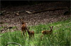 " Photo de famille "