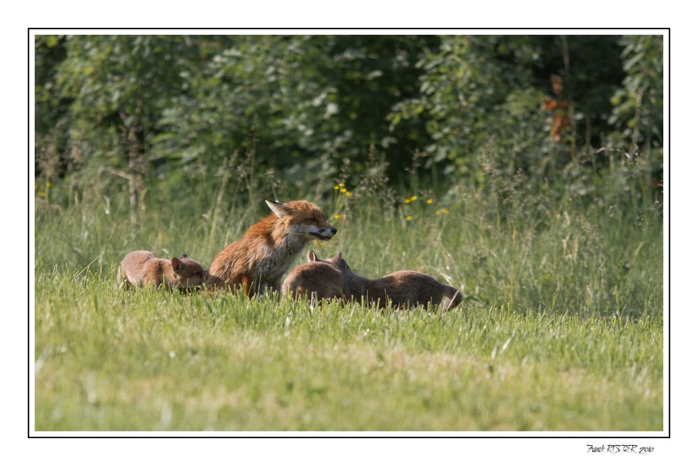 Photo de famille