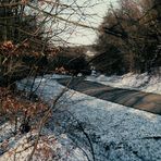 Photo hivernale dans les Ardennes françaises.