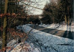 Photo hivernale dans les Ardennes françaises.