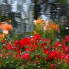 photo impressionism 1