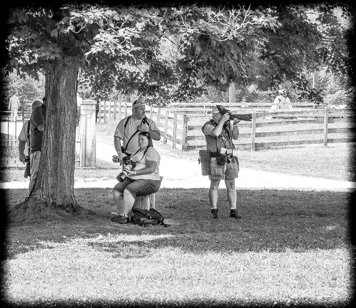 Photo Technique: Sit in shade use long glass