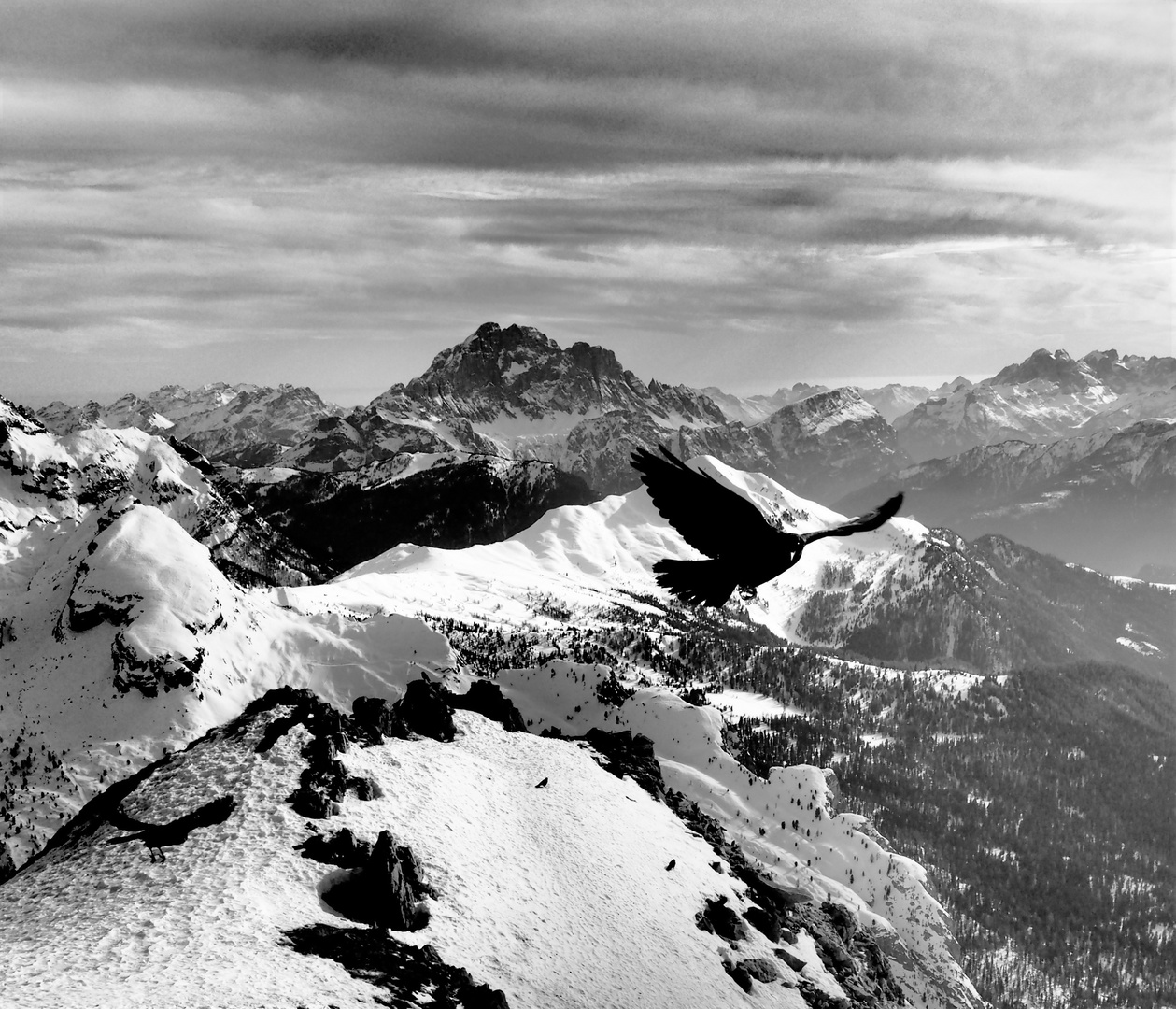 Photobomb auf der Hütte Rifugio Lagazuoi