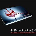 Photobook 2010 - In Pursuit of the Sublime