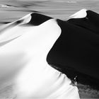 Photographe à la chasse des dunes érotiques