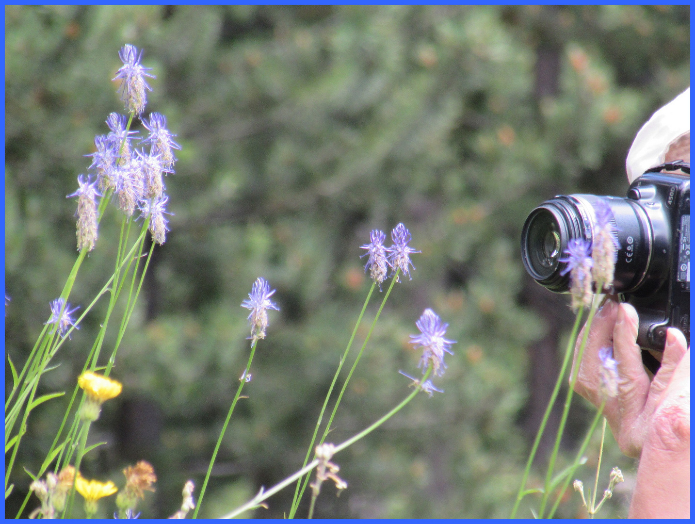 ..Photographe en pleine macro..