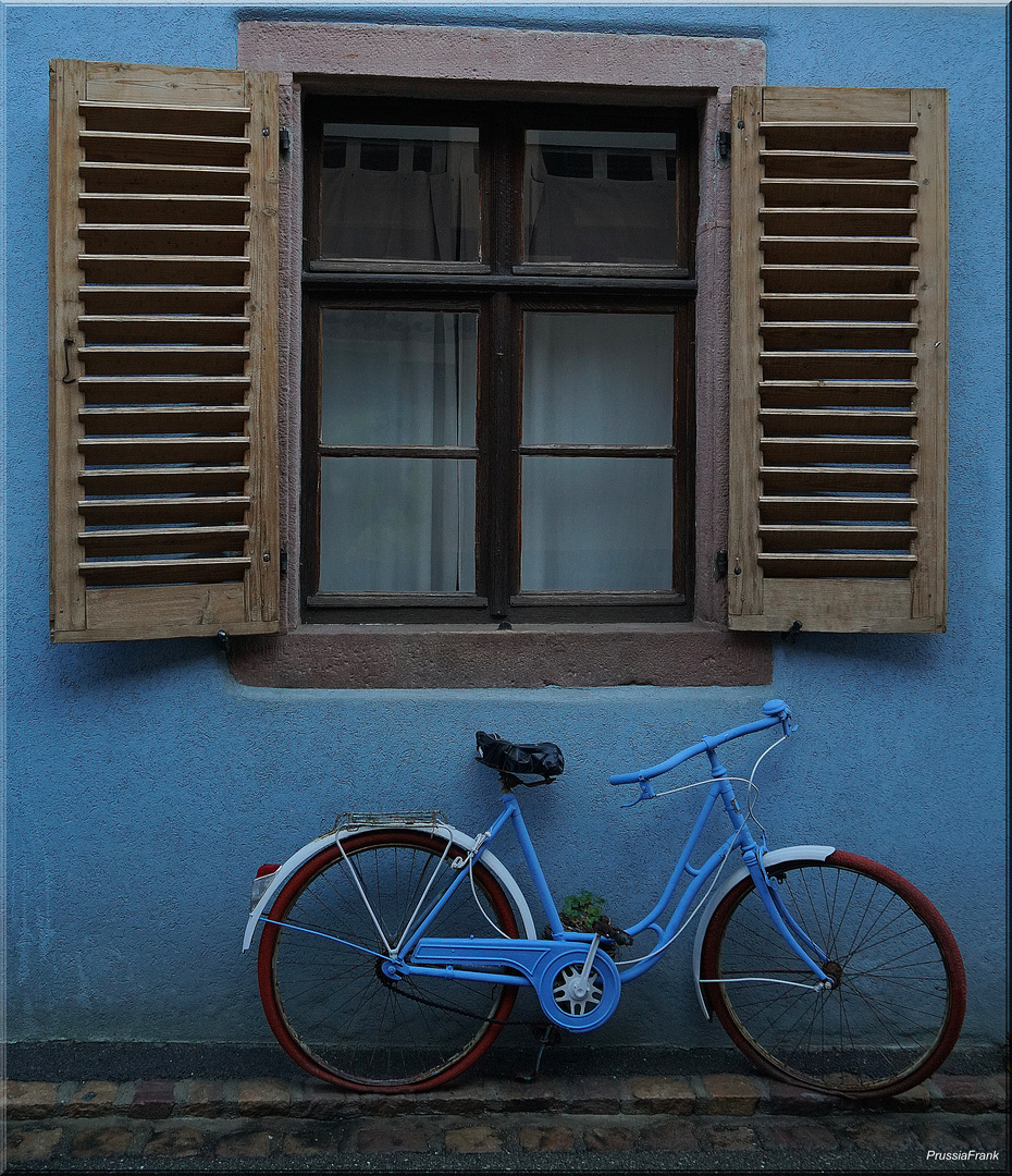  Photographed in Kaysersberg, Alsace / France.