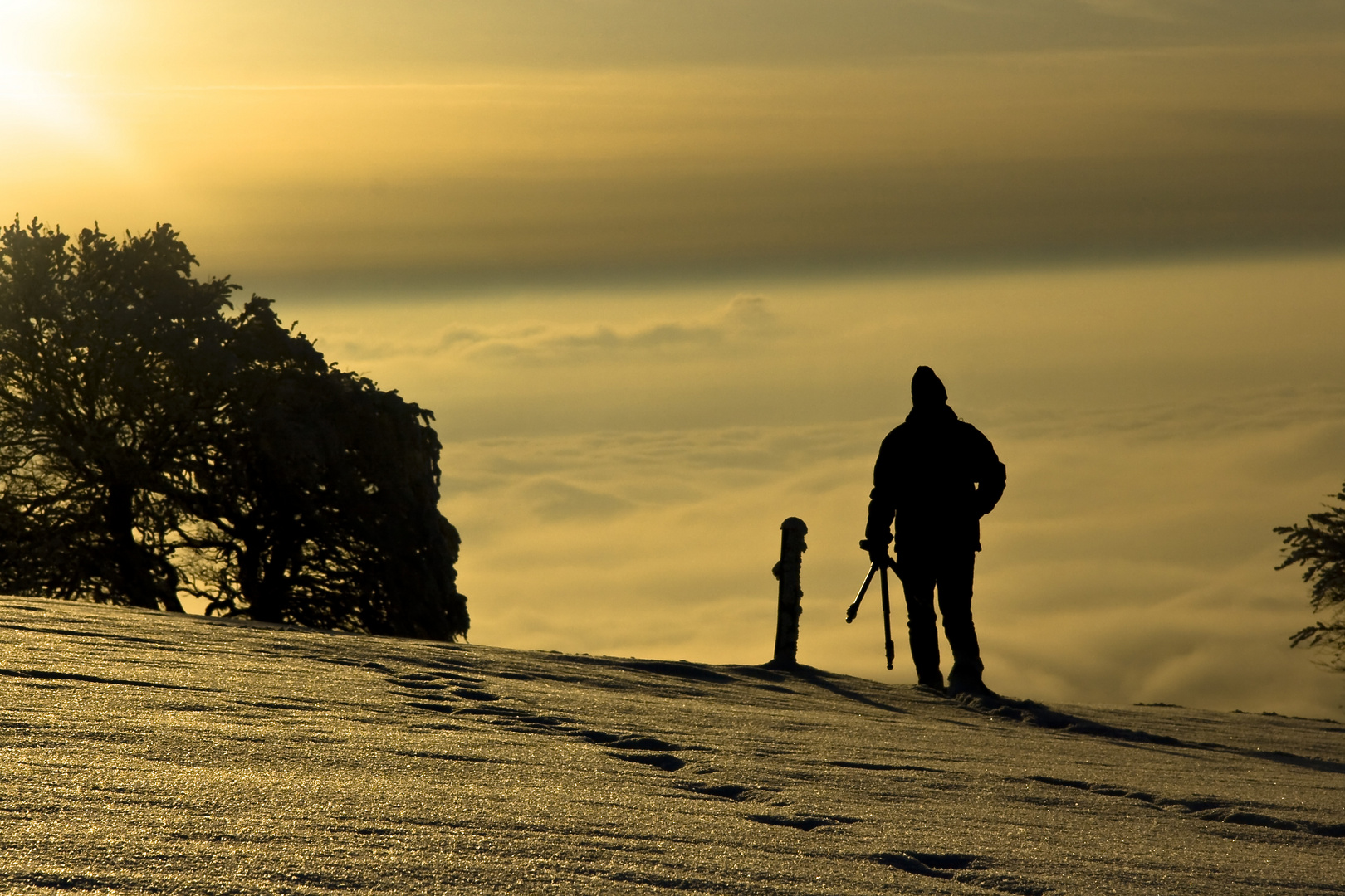 Photographer with a distant view