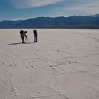 Photographers on the Salt