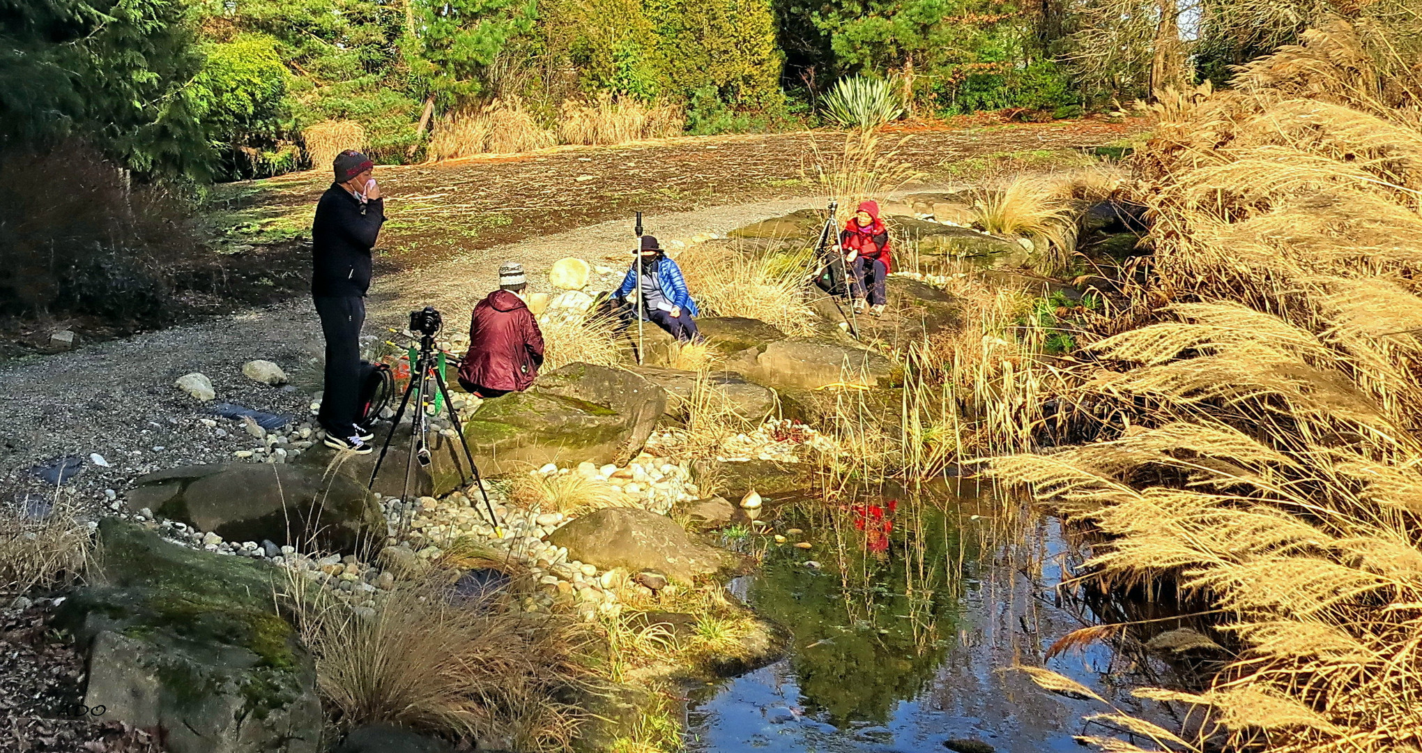 Photographers'  Picnic