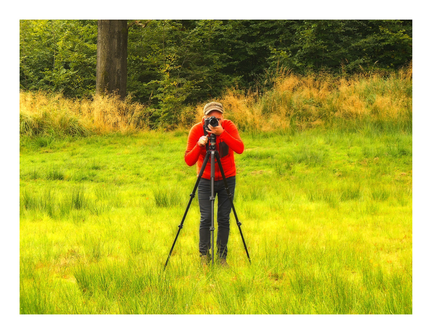 Photographieren im Grünen