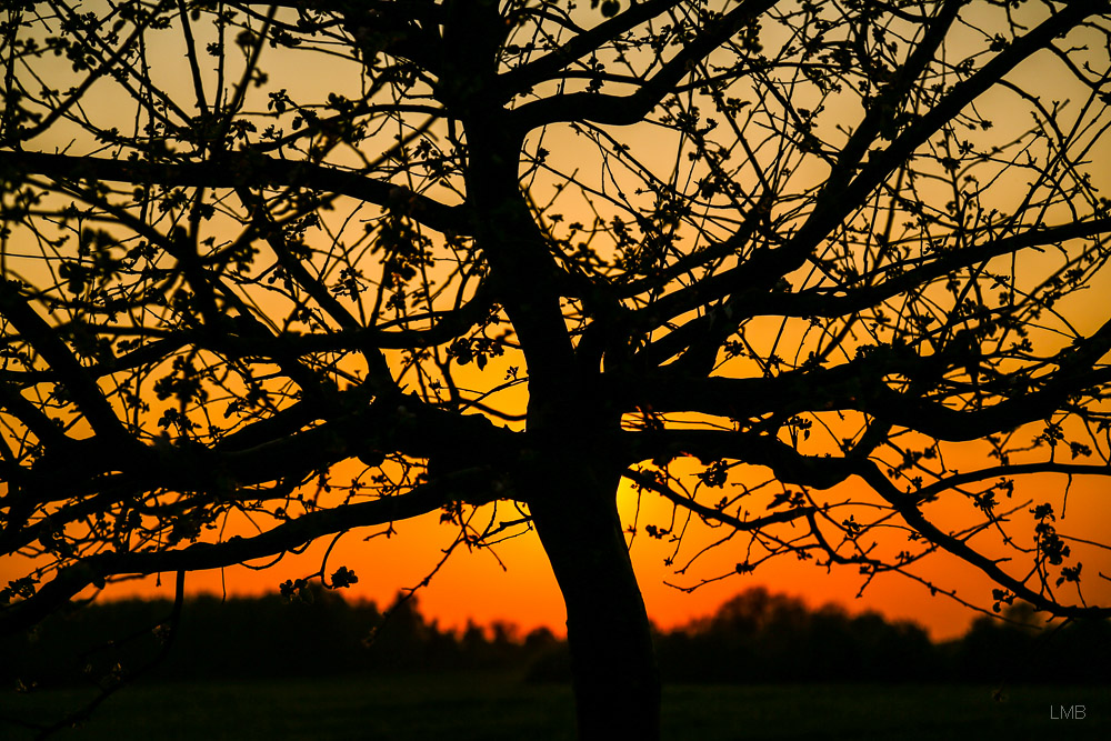 Photographierte Gedanken