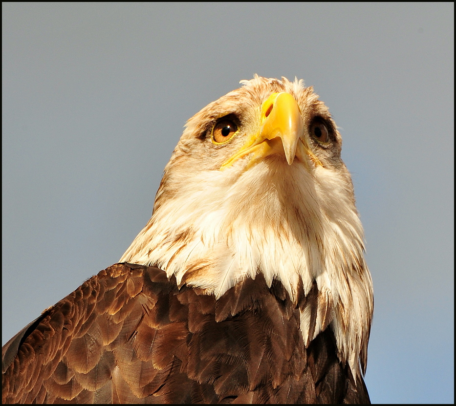 Photokina 2010..............