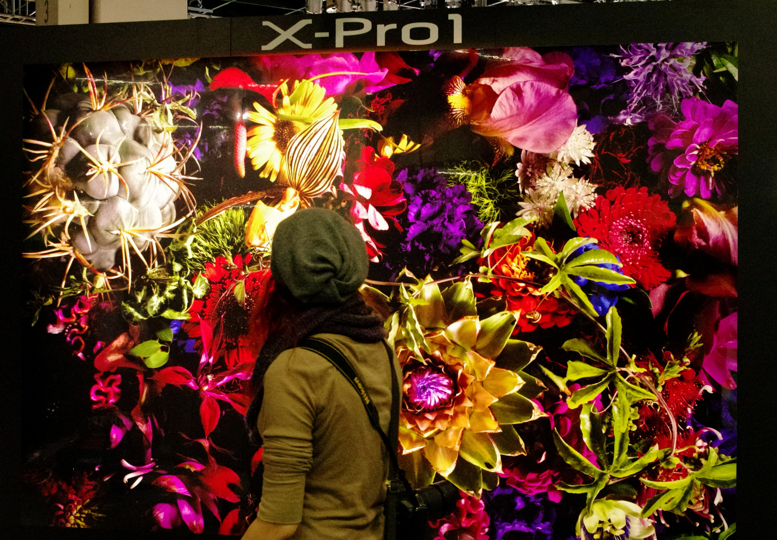 Photokina 2012