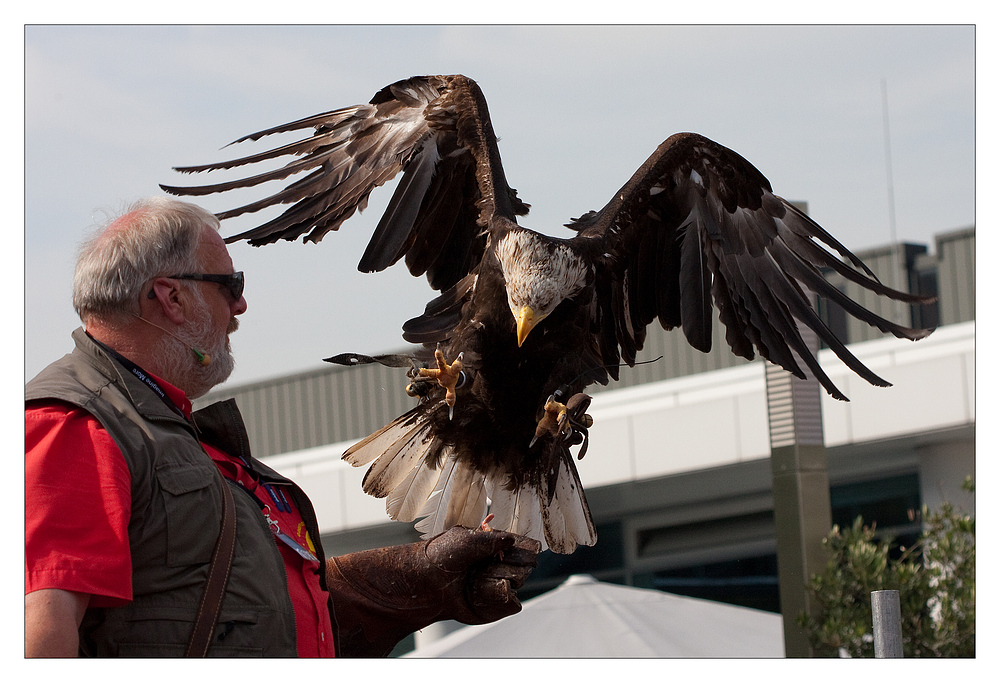 Photokina-Action